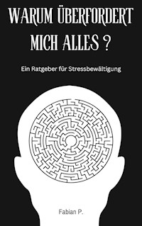 Warum überfordert mich alles? - Fabian P. - ebook