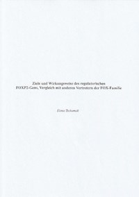 Ziele und Wirkungsweise des regulatorischen FOXP2-Gens, Vergleich mit anderen Vertretern der FOX-Familie - Elena Tschumak - ebook