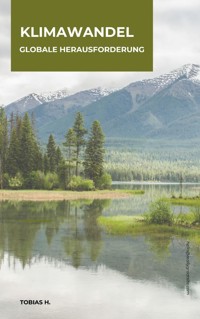 Klimawandel - globale Herausforderung - Tobias Hopfmüller - ebook