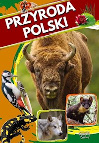 Przyroda Polski -  - książka