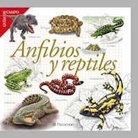 Anfibios y reptiles - Equipo Parramón Paidotribo - ebook