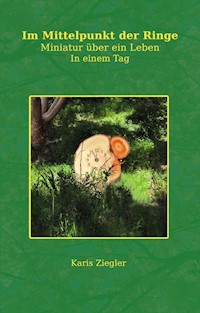 Im Mittelpunkt der Ringe - Karis Ziegler - ebook