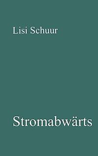 Stromabwärts - Lisi Schuur - ebook
