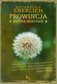 Prowincja pełna marzeń - Katarzyna Enerlich - ebook + audiobook + książka