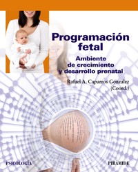Programación fetal - Rafael A. Caparros-Gonzalez - ebook