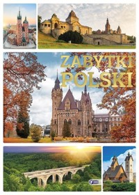 Zabytki Polski - zbiorowa praca - książka