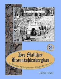 Der Mallißer Braunkohlenbergbau - Günter Pinzke - ebook