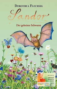 Sandor Der geheime Schwarm - Dorothea Flechsig - ebook