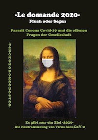 -Le domande 2020- Fluch oder Segen - Vincenzo Romeo Doster - ebook