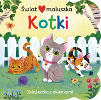 Świat maluszka. Kotki. Książeczka z okienkami - Ginger Swift, Fhiona Galloway (ilustr.) - książka