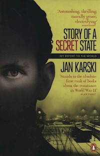 Story of a Secret State - Jan Karski - książka