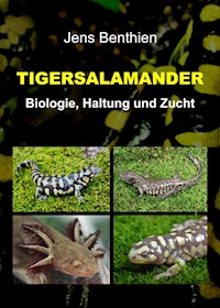 Tigersalamander - Jens Benthien - ebook