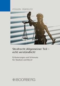 Strafrecht Allgemeiner Teil - echt verständlich! - Frank Füglein - ebook
