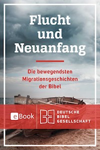 Flucht und Neuanfang - Elsa Tamez - ebook