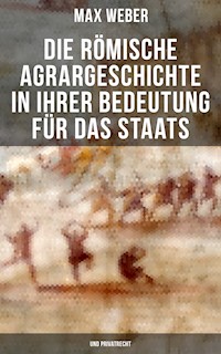Die römische Agrargeschichte in ihrer Bedeutung für das Staats- und Privatrecht - Max Weber - ebook