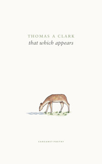 that which appears - Thomas A. Clark - ebook