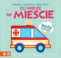 Nauka z grubym obrysem Co widzę w mieście -  - książka