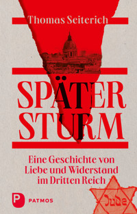 Später Sturm - Thomas Seiterich - ebook