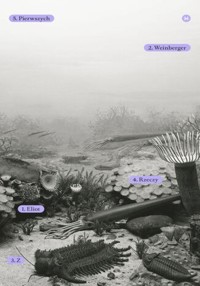 Z rzeczy pierwszych - Weinberger Eliot - ebook + książka