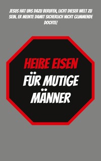 Heiße Eisen für Mutige Männer - Roland Karwel - ebook