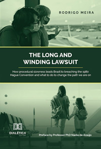 The long and winding lawsuit - Rodrigo Meira - ebook