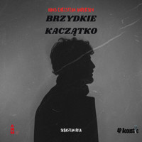 Brzydkie kaczątko. Andersen: baśnie dla dorosłych - Andersen H Ch - audiobook