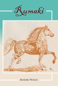 Rumaki - Walis Marek - książka