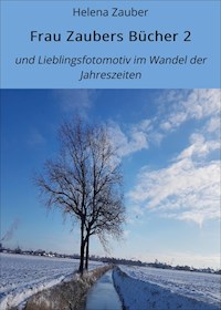 Frau Zaubers Bücher 2 - Helena Zauber - ebook