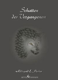 Schatten des Vergangenen Band 2 - Hildegard E. Merkes - ebook