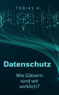 Datenschutz - wie gläsern sind wir wirklich? - Tobias Hopfmüller - ebook