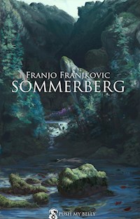 Sommerberg - Franjo Franjkovic - ebook