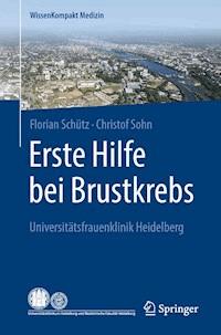 Erste Hilfe bei Brustkrebs - Florian Schütz - ebook
