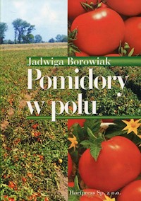Pomidory w polu - Borowiak Jadwiga - książka