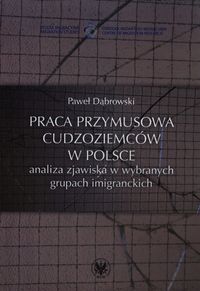 Praca przymusowa cudzoziemców w Polsce - Dąbrowski Paweł - książka