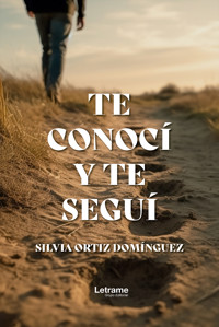Te conocí y te seguí - Silvia Ortiz Domínguez - ebook