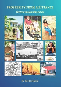 Prosperity from a Pittance - The New Sustainable Future - Dr Pat Howden - ebook
