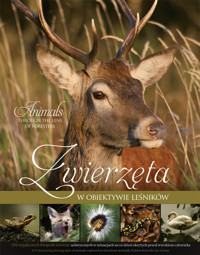 Zwierzęta w obiektywie leśników - zbiorowa praca - książka