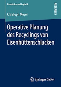 Operative Planung des Recyclings von Eisenhüttenschlacken - Christoph Meyer - ebook