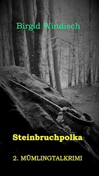 Steinbruchpolka - Birgid Windisch - ebook