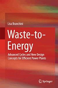 Waste-to-Energy - Lisa Branchini - ebook