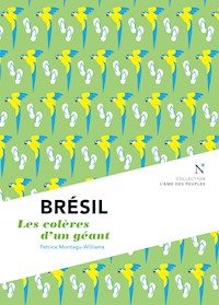 Brésil - Patrice Montagu-Williams - ebook