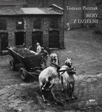 Bery z dzielni - Tomasz Pietrzak - ebook + książka