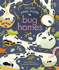 Peep Inside Bug Homes - Anna Milbourne - książka