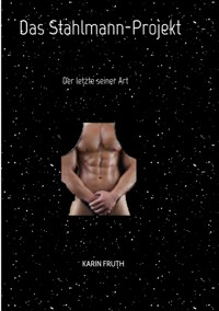 Das Stahlmann-Projekt - Karin Fruth - ebook