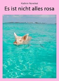 Es ist nicht alles rosa - Kathrin Noreikat - ebook