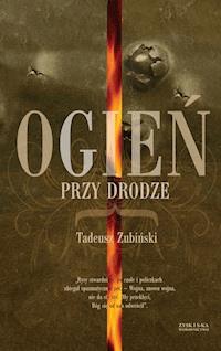 Ogień przy drodze - tadeusz Zubiński - ebook
