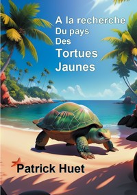 A la recherche du pays des Tortues Jaunes - Patrick Huet - ebook