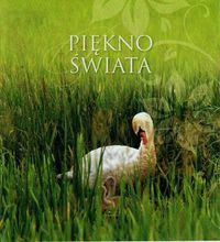 Piękno świata 7 - Zimnicki Maciej - książka