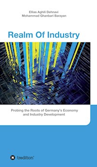 Realm Of Industry - Ellias Aghili Dehnavi - ebook