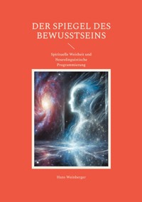 Der Spiegel des Bewusstseins - Hans Weinberger - ebook